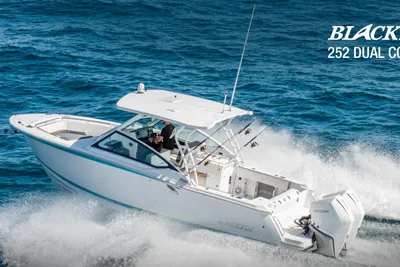 Blackfin 252 DC