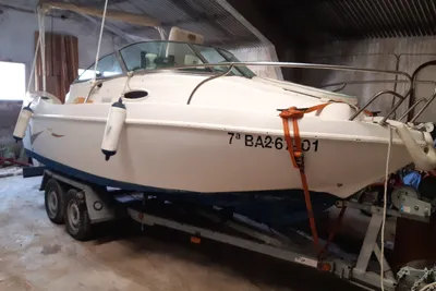 2001 Lema Expression