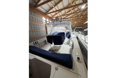 Intrepid 377 Walkaround