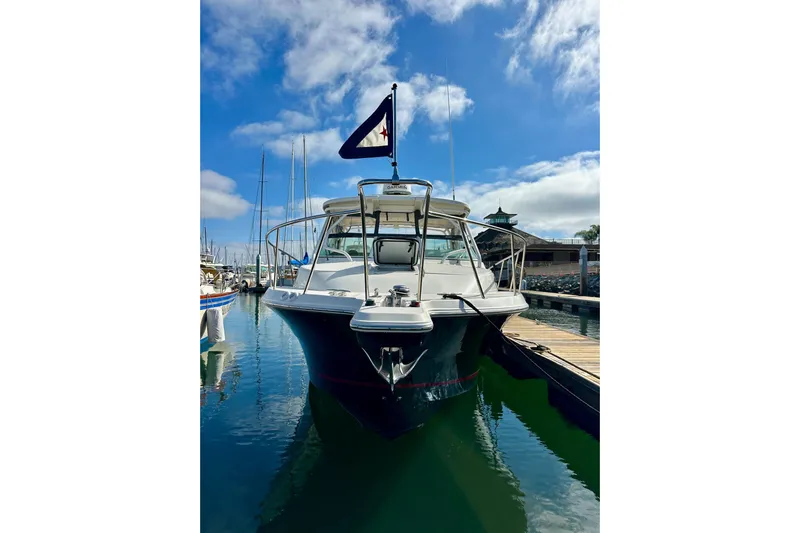 Seahorse Yacht Photos Pics 2018 Wellcraft 290 Coastal boat docked in a marina under a clear blue sky.