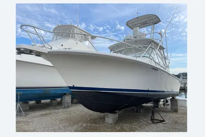Luhrs 28 Open