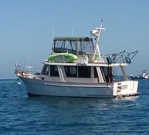 Marine Trader Europa Sedan Trawler