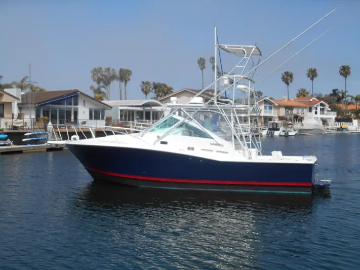 Mistress Yacht Photos Pics 1998 Cabo 31 Express boat docked in a marina, surrounded by waterfront homes.