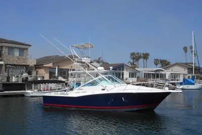 Cabo 31 Express
