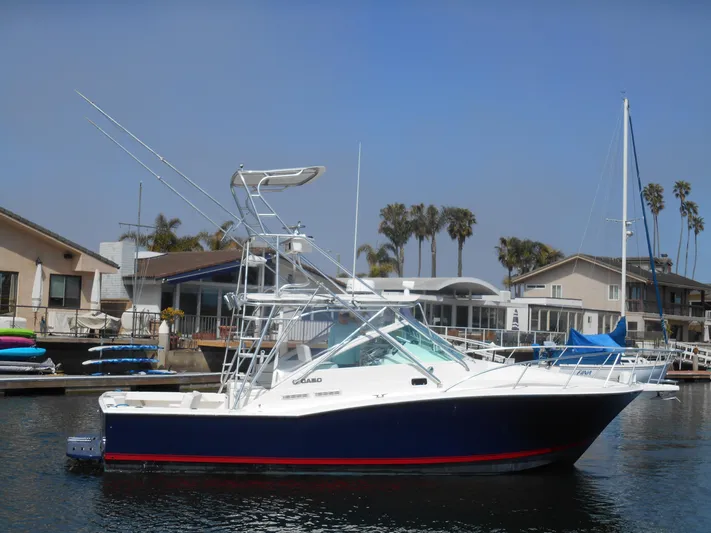 Mistress Yacht Photos Pics 1998 Cabo 31 Express boat docked in a marina with palm trees in the background.