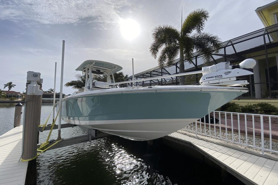 2022 Boston Whaler 250 Dauntless