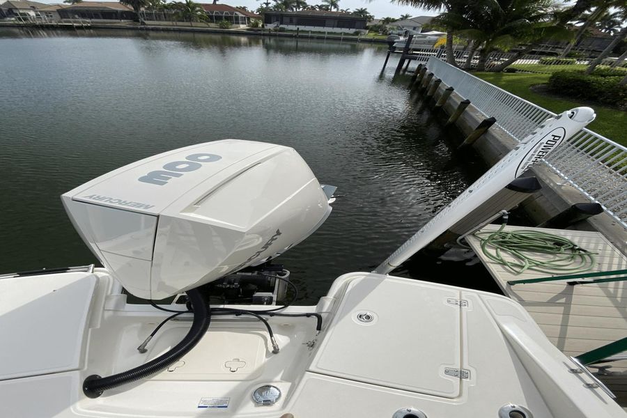 2022 Boston Whaler 250 Dauntless