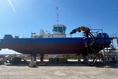 2024 New Built NEW BUILD MULTICAT 31