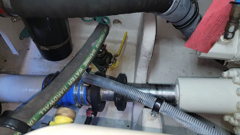 Rruff In It Yacht Photos Pics 