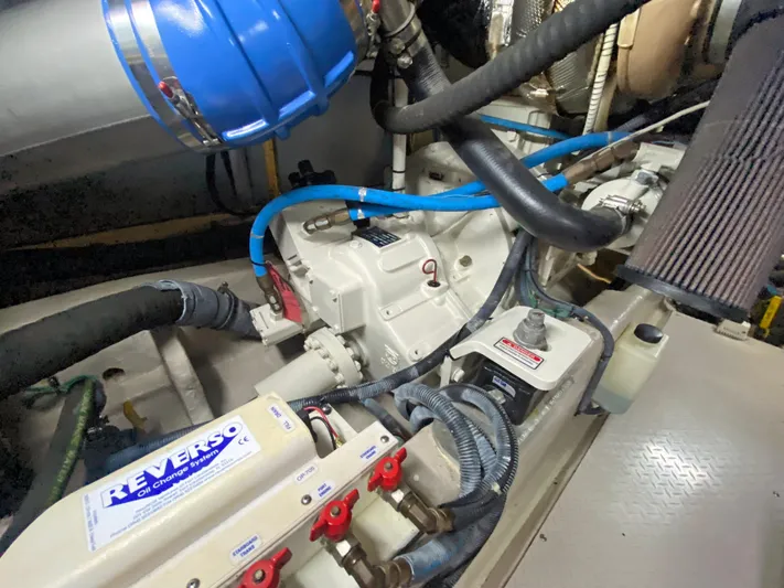 Rruff In It Yacht Photos Pics 