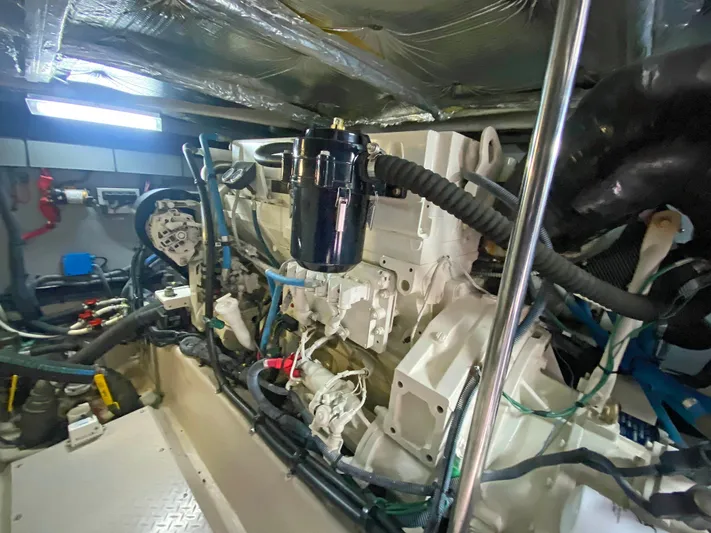 Rruff In It Yacht Photos Pics 