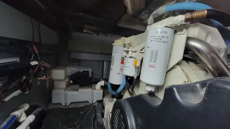 Rruff In It Yacht Photos Pics 