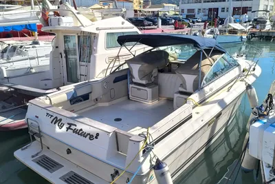 1988 Sea Ray 270 Amberjack