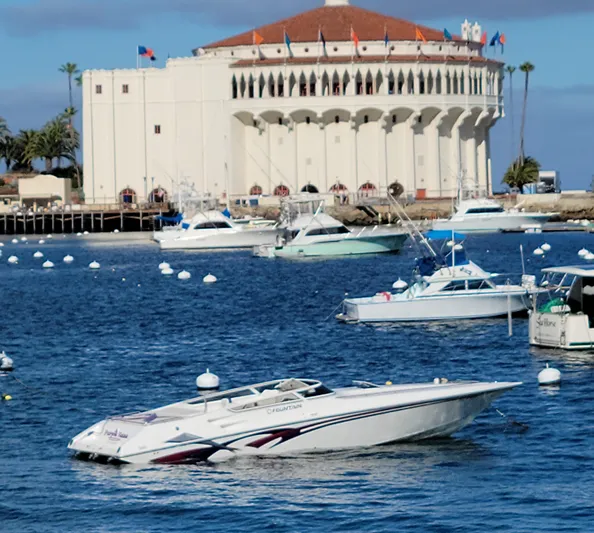Purple Haze Yacht Photos Pics 