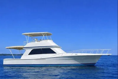Viking 50 Convertible Sport Fisher