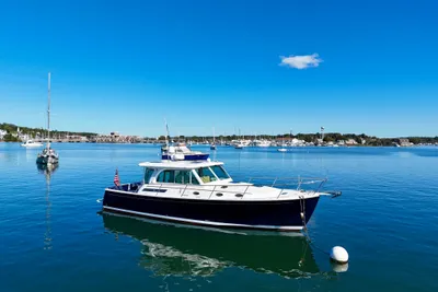 Back Cove 41