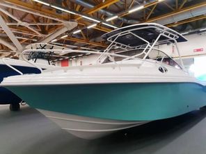 2023 Ranieri Ranieri S25 New