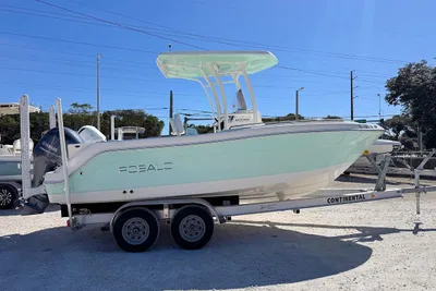 Robalo R222 Center Console