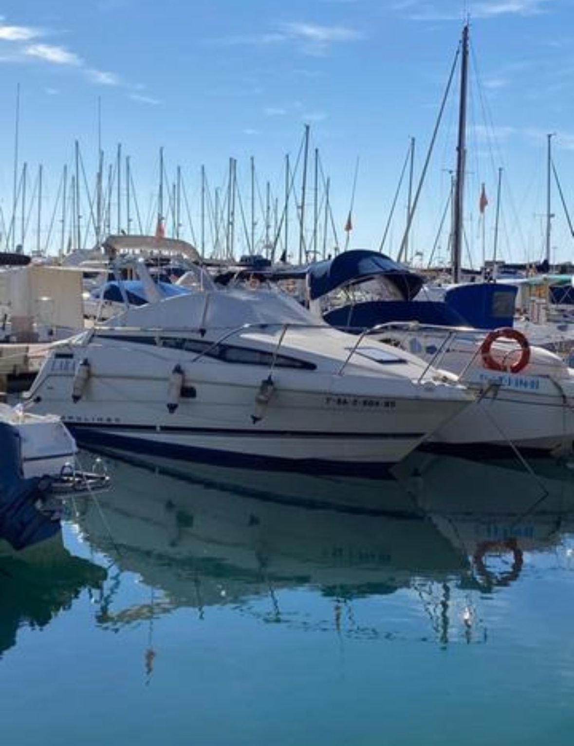 1995 Bayliner Cyera 2355