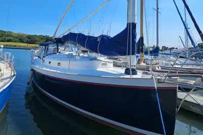 Nonsuch 33