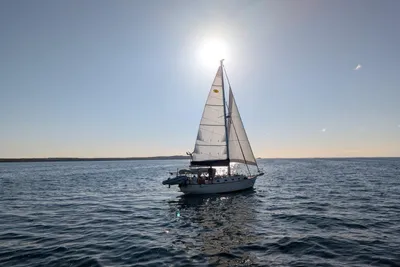 Island Packet 37