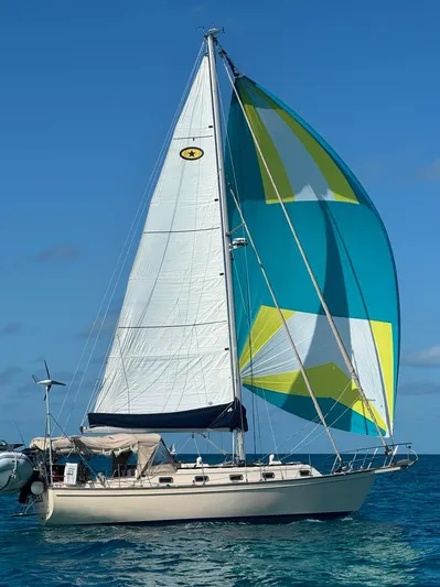 Nikki Yacht Photos Pics 