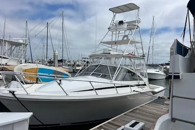Blackfin 30.7 EXPRESS