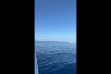 Video Placeholder