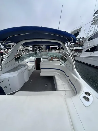 Mouse Trap Yacht Photos Pics 