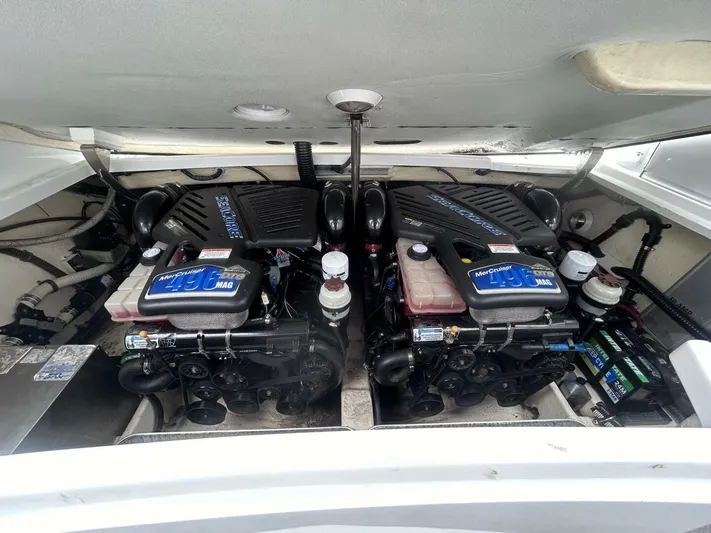 Mouse Trap Yacht Photos Pics 