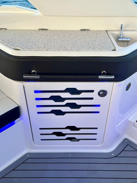 2020 Sea Ray 310 SLX