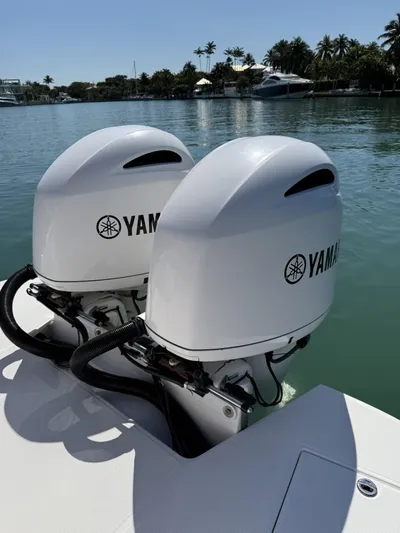  Yacht Photos Pics 2019 Regal 29 OBX with twin Yamaha outboard motors on a sunny waterfront.