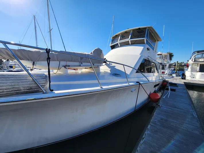 Boss Lady Yacht Photos Pics 