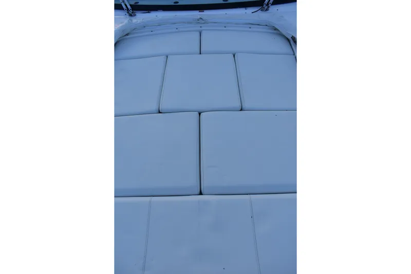  Yacht Photos Pics 2025 Regal 38 FXO boat with cushioned seating area, top view.