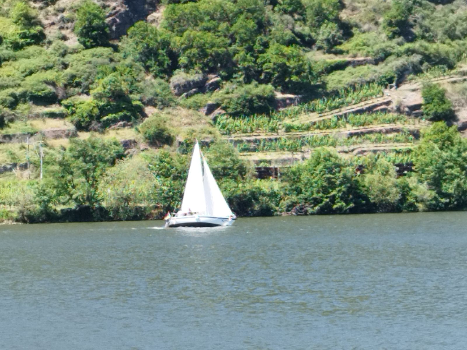 1980 Dehler Sprinta D