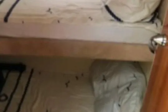 1744 Yacht Photos Pics Bunk beds in 2003 Princess 45 Flybridge Motor Yacht cabin.