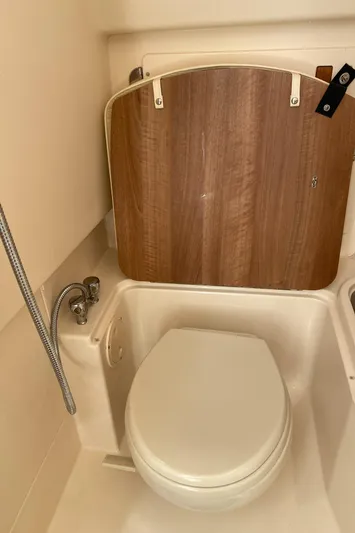 Lola Yacht Photos Pics 2017 Grady-White Freedom 375 boat bathroom with toilet and wooden panel.
