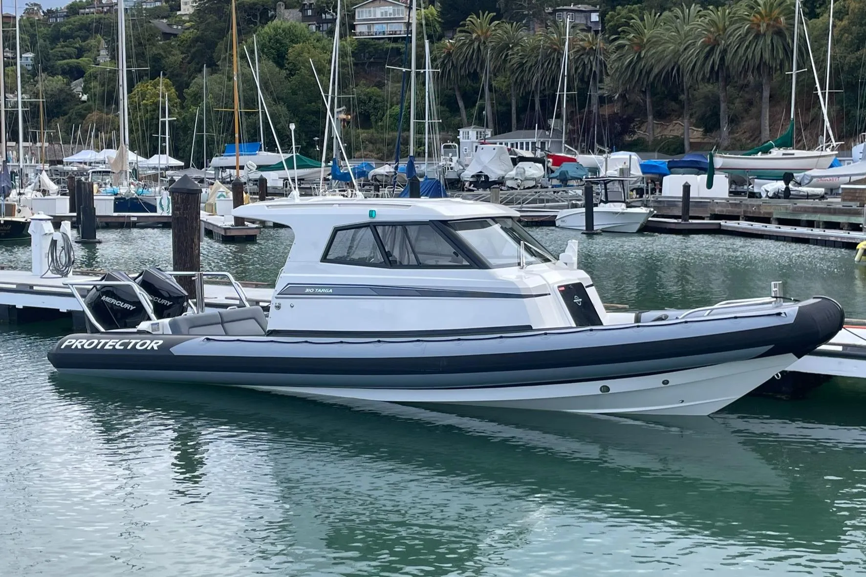 2024 Protector 310 Targa boat docked in marina, featuring V8 250 HP engine.