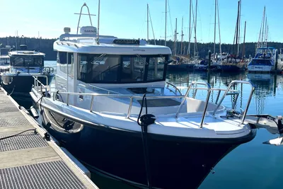 Sargo 28