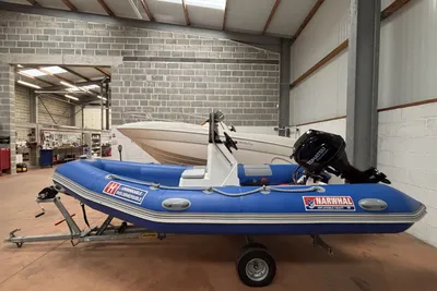 2009 Narwhal H 400