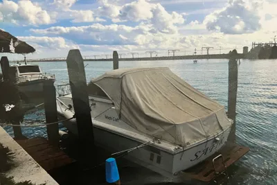 1981 Mochi Craft Dominator 8V