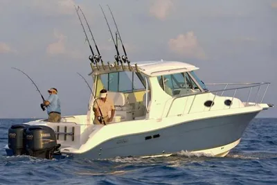 Seaswirl Striper 2901 Walkaround O/B