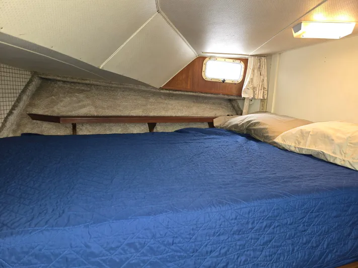 Aurora Yacht Photos Pics 1982 Tollycraft 37 Sportfish Convertible cabin with blue bedding and small window.