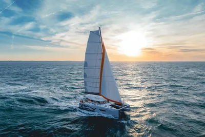 2026 Excess Excess 13