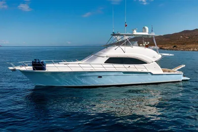 Bertram 570