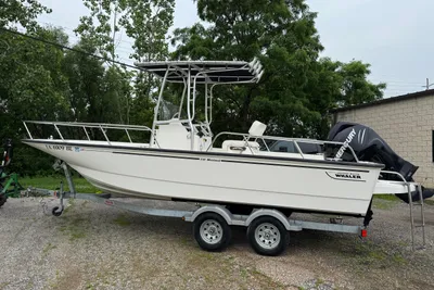 Boston Whaler 210 Montauk