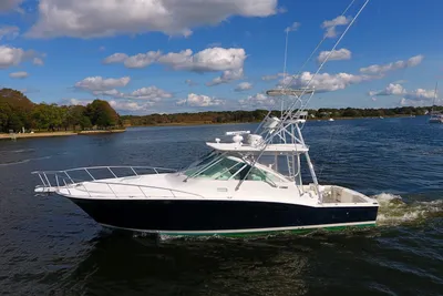 Cabo 40