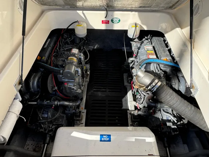 Bay Cruzin Yacht Photos Pics 