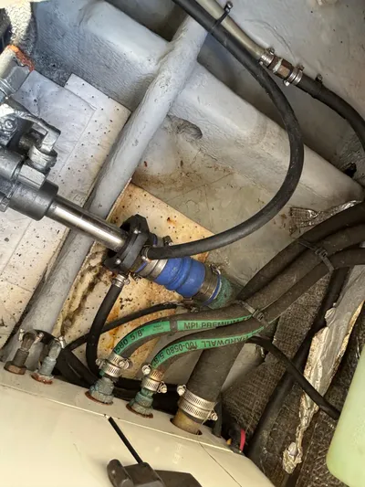 Bay Cruzin Yacht Photos Pics 