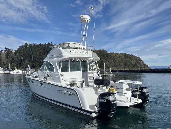Ocelot Yacht Photos Pics 2005 Glacier Bay 3490 Ocean Runner boat docked in scenic marina.